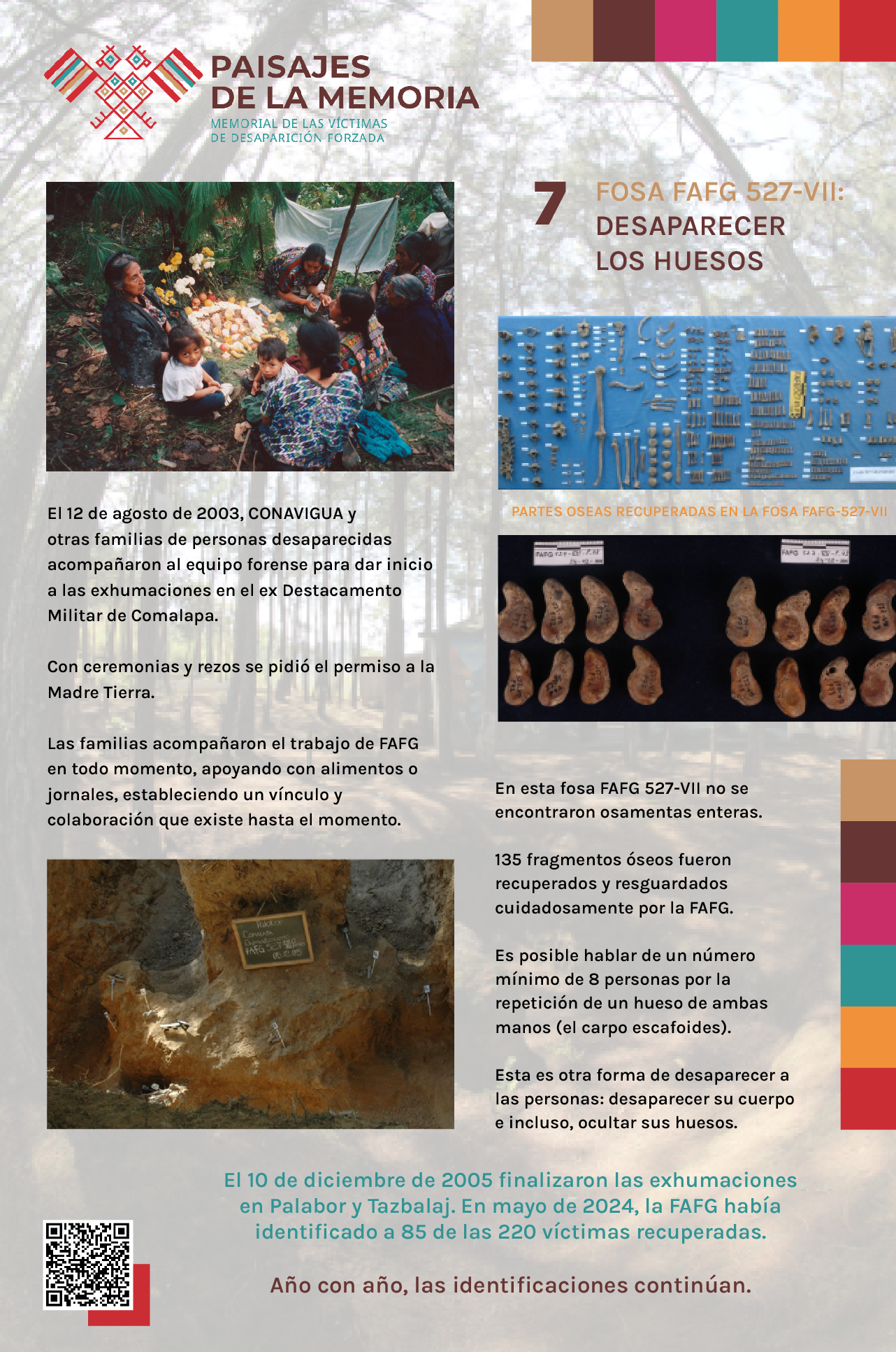 pictures/carteles señalética/7 Fosa FAFG 527 VII.png